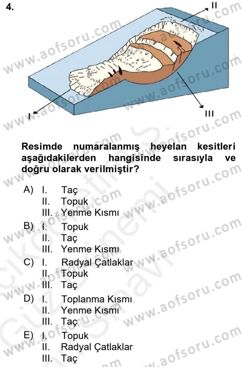 CBS’de Proje Tasarımı ve Yönetimi 1 Dersi 2017 - 2018 Yılı (Final) Dönem Sonu Sınav Soruları 4. Soru