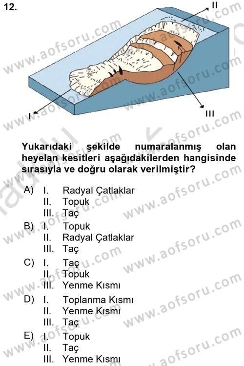 CBS’de Proje Tasarımı ve Yönetimi 1 Dersi 2018 - 2019 Yılı 3 Ders Sınav Soruları 12. Soru