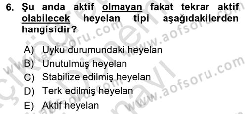 CBS’de Proje Tasarımı ve Yönetimi 1 Dersi 2019 - 2020 Yılı (Final) Dönem Sonu Sınav Soruları 6. Soru