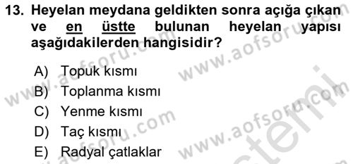 CBS’de Proje Tasarımı ve Yönetimi 1 Dersi 2020 - 2021 Yılı Yaz Okulu Sınav Soruları 13. Soru