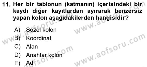 Yerel Yönetimlerde CBS Uygulamaları Dersi 2018 - 2019 Yılı Yaz Okulu Sınav Soruları 11. Soru