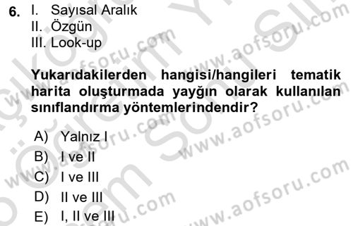 Yerel Yönetimlerde CBS Uygulamaları Dersi 2024 - 2025 Yılı (Final) Dönem Sonu Sınav Soruları 6. Soru