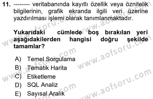 Yerel Yönetimlerde CBS Uygulamaları Dersi 2024 - 2025 Yılı Yaz Okulu Sınav Soruları 11. Soru
