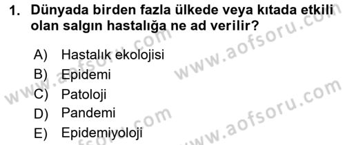 Coğrafi Bilgi Sistemlerinin Kullanım Alanları 2 Dersi 2023 - 2024 Yılı (Vize) Ara Sınav Soruları 1. Soru