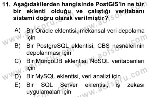 Web Tabanlı CBS Dersi 2024 - 2025 Yılı (Vize) Ara Sınav Soruları 11. Soru