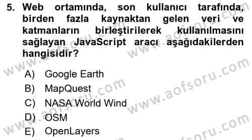 Web Tabanlı CBS Dersi 2024 - 2025 Yılı (Vize) Ara Sınav Soruları 5. Soru