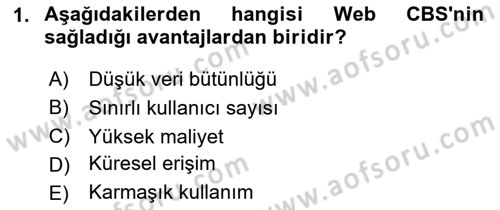 Web Tabanlı CBS Dersi 2024 - 2025 Yılı (Final) Dönem Sonu Sınav Soruları 1. Soru