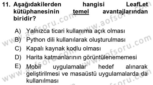 Web Tabanlı CBS Dersi 2024 - 2025 Yılı (Final) Dönem Sonu Sınav Soruları 11. Soru