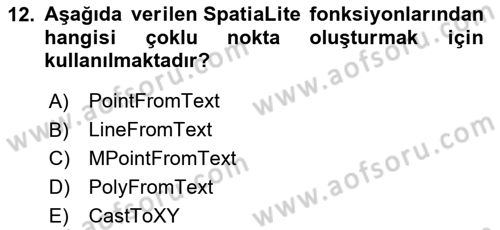 Web Tabanlı CBS Dersi 2024 - 2025 Yılı (Final) Dönem Sonu Sınav Soruları 12. Soru