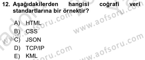 Web Tabanlı CBS Dersi 2024 - 2025 Yılı Yaz Okulu Sınav Soruları 12. Soru