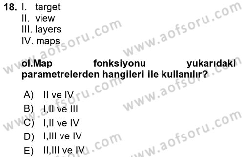 Web Tabanlı CBS Dersi 2024 - 2025 Yılı Yaz Okulu Sınav Soruları 18. Soru