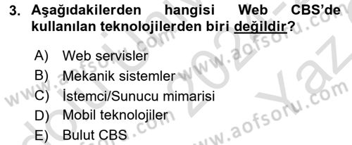Web Tabanlı CBS Dersi 2024 - 2025 Yılı Yaz Okulu Sınav Soruları 3. Soru