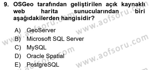 Web Tabanlı CBS Dersi 2024 - 2025 Yılı Yaz Okulu Sınav Soruları 9. Soru