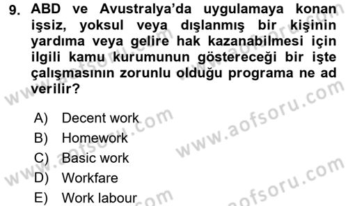 Sosyal Politika Dersi 2016 - 2017 Yılı (Final) Dönem Sonu Sınav Soruları 9. Soru