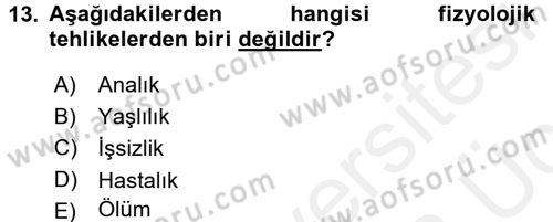 Sosyal Politika Dersi 2017 - 2018 Yılı 3 Ders Sınav Soruları 13. Soru