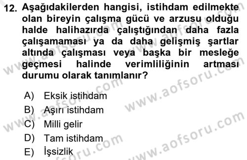 Sosyal Politika Dersi 2018 - 2019 Yılı (Vize) Ara Sınav Soruları 12. Soru