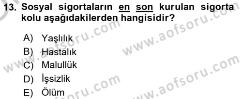 Sosyal Politika Dersi 2018 - 2019 Yılı Yaz Okulu Sınav Soruları 13. Soru
