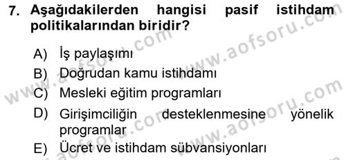 Sosyal Politika Dersi 2018 - 2019 Yılı Yaz Okulu Sınav Soruları 7. Soru