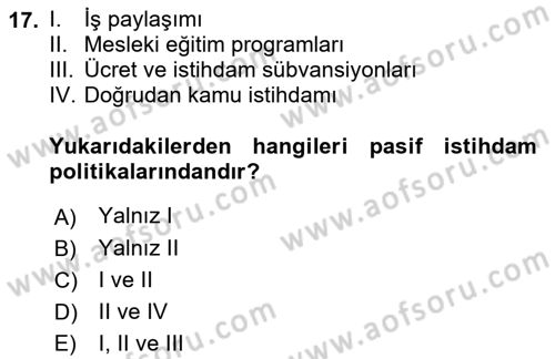 Sosyal Politika Dersi 2019 - 2020 Yılı (Vize) Ara Sınav Soruları 17. Soru