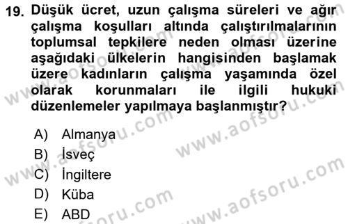 Sosyal Politika Dersi 2020 - 2021 Yılı Yaz Okulu Sınav Soruları 19. Soru