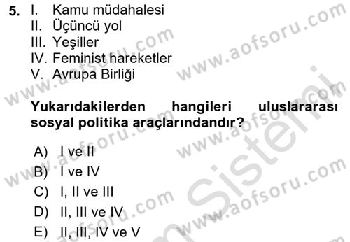 Sosyal Politika Dersi 2020 - 2021 Yılı Yaz Okulu Sınav Soruları 5. Soru