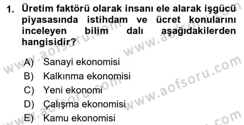 Sosyal Politika Dersi 2021 - 2022 Yılı Yaz Okulu Sınav Soruları 1. Soru