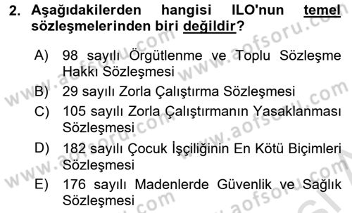 Sosyal Politika Dersi 2022 - 2023 Yılı (Vize) Ara Sınav Soruları 2. Soru