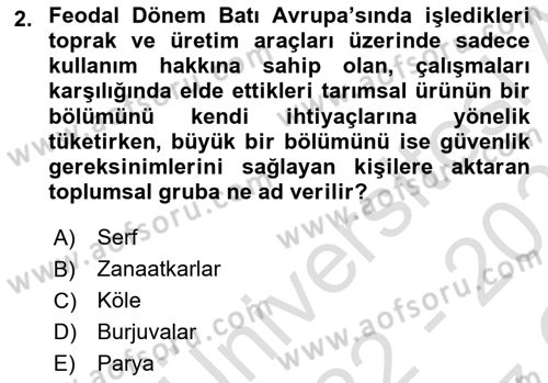 Sosyal Politika Dersi 2022 - 2023 Yılı Yaz Okulu Sınav Soruları 2. Soru
