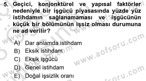 Sosyal Politika Dersi 2022 - 2023 Yılı Yaz Okulu Sınav Soruları 5. Soru