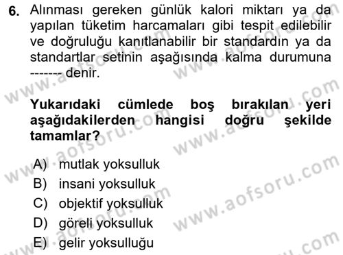 Sosyal Politika Dersi 2022 - 2023 Yılı Yaz Okulu Sınav Soruları 6. Soru