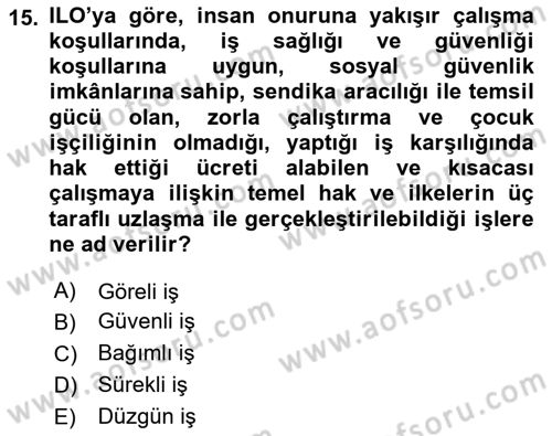 Sosyal Politika Dersi 2023 - 2024 Yılı (Vize) Ara Sınav Soruları 15. Soru