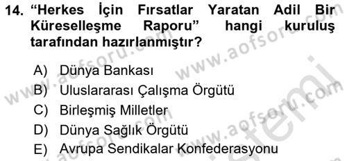 Sosyal Politika Dersi 2023 - 2024 Yılı (Final) Dönem Sonu Sınav Soruları 14. Soru