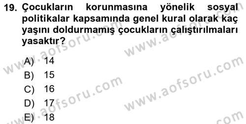 Sosyal Politika Dersi 2023 - 2024 Yılı (Final) Dönem Sonu Sınav Soruları 19. Soru