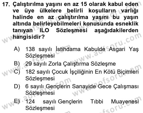 Sosyal Politika Dersi 2023 - 2024 Yılı Yaz Okulu Sınav Soruları 17. Soru