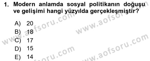 Sosyal Politika Dersi 2024 - 2025 Yılı (Vize) Ara Sınavı 1. Soru