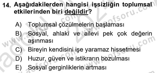 Sosyal Politika Dersi 2024 - 2025 Yılı (Vize) Ara Sınav Soruları 14. Soru