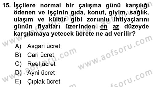 Sosyal Politika Dersi 2024 - 2025 Yılı (Vize) Ara Sınav Soruları 15. Soru