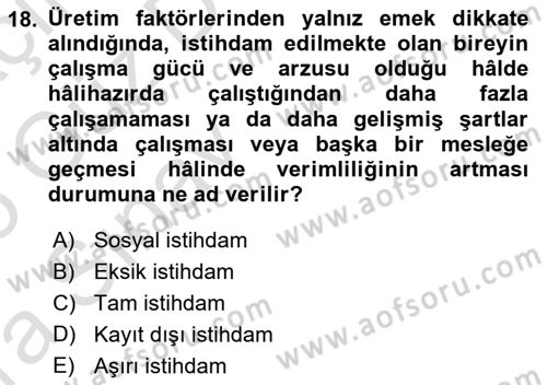 Sosyal Politika Dersi 2024 - 2025 Yılı (Vize) Ara Sınav Soruları 18. Soru