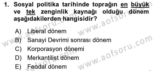 Sosyal Politika Dersi 2024 - 2025 Yılı (Final) Dönem Sonu Sınav Soruları 1. Soru