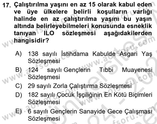 Sosyal Politika Dersi 2024 - 2025 Yılı (Final) Dönem Sonu Sınav Soruları 17. Soru