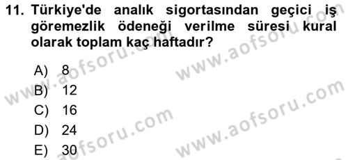Sosyal Politika Dersi 2024 - 2025 Yılı Yaz Okulu Sınav Soruları 11. Soru
