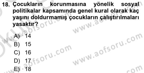 Sosyal Politika Dersi 2024 - 2025 Yılı Yaz Okulu Sınav Soruları 18. Soru