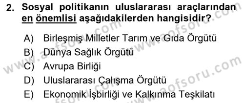 Sosyal Politika Dersi 2024 - 2025 Yılı Yaz Okulu Sınav Soruları 2. Soru