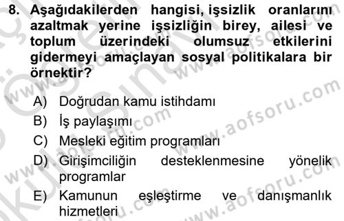 Sosyal Politika Dersi 2024 - 2025 Yılı Yaz Okulu Sınav Soruları 8. Soru