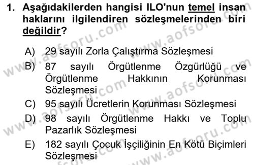Sosyal Politika Dersi 2025 - 2026 Yılı (Vize) Ara Sınav Soruları 1. Soru