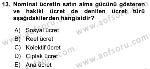 Sosyal Politika Dersi 2025 - 2026 Yılı (Vize) Ara Sınav Soruları 13. Soru