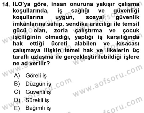 Sosyal Politika Dersi 2025 - 2026 Yılı (Vize) Ara Sınav Soruları 14. Soru