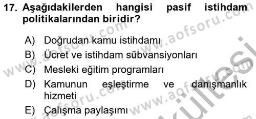 Sosyal Politika Dersi 2025 - 2026 Yılı (Vize) Ara Sınav Soruları 17. Soru