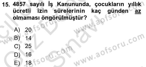 Sosyal Politika Dersi 2025 - 2026 Yılı (Final) Dönem Sonu Sınav Soruları 15. Soru