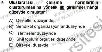 Sosyal Politika 1 Dersi 2013 - 2014 Yılı (Final) Dönem Sonu Sınav Soruları 9. Soru